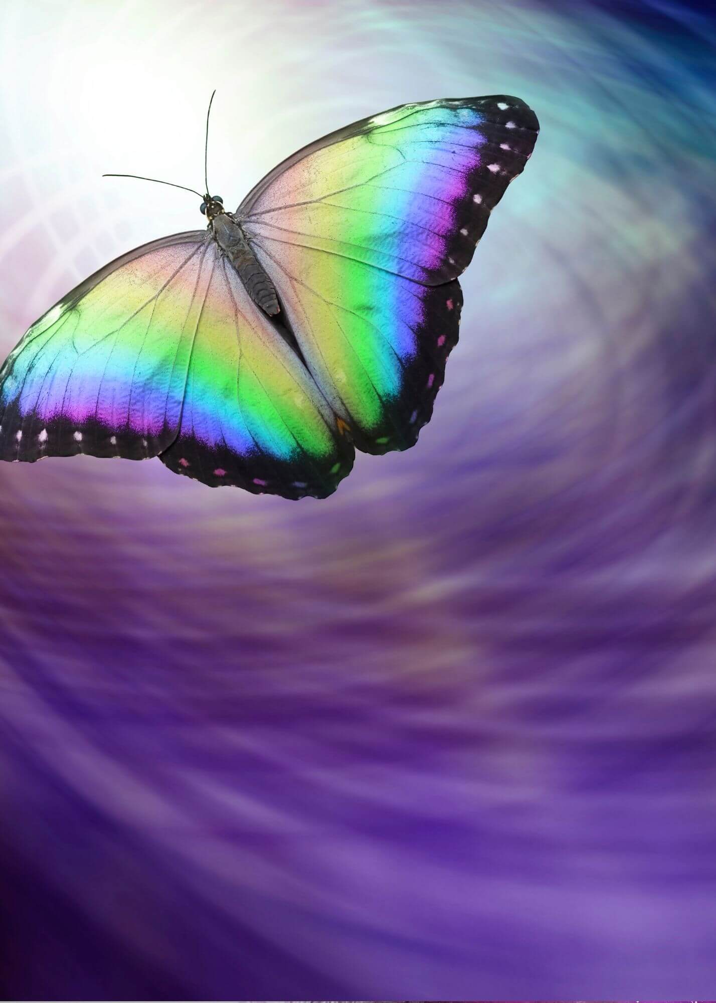 background image-cosmic butterfly