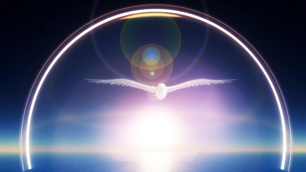 bird in sky background
