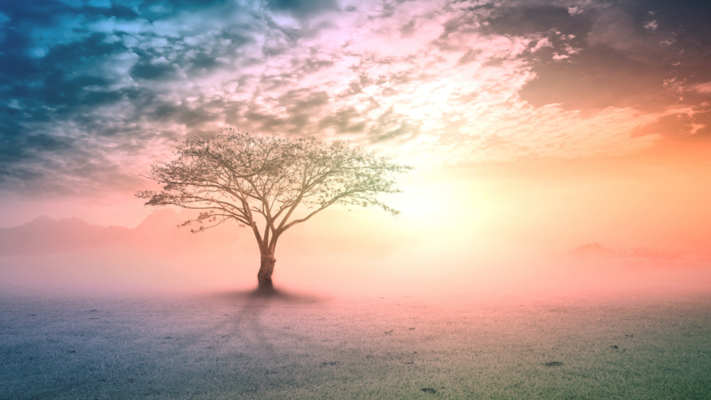 heavenly nature background