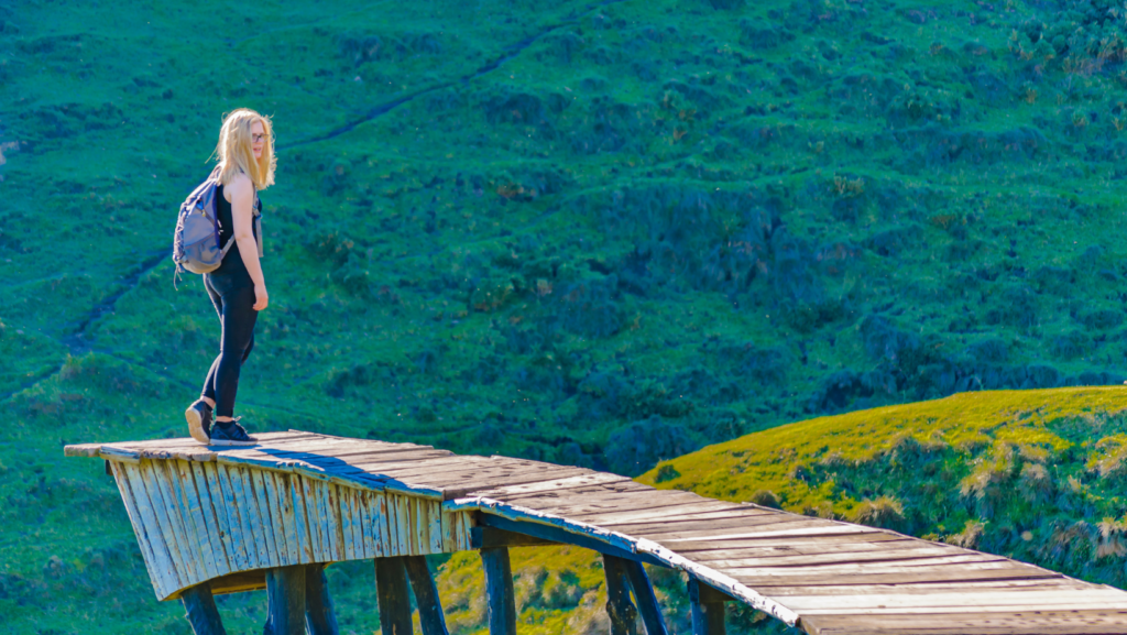 nature bridge background