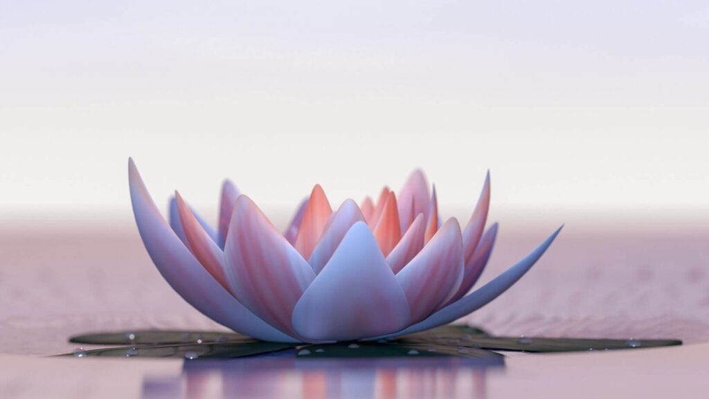 lotus meditation eastern hindu buddhist background