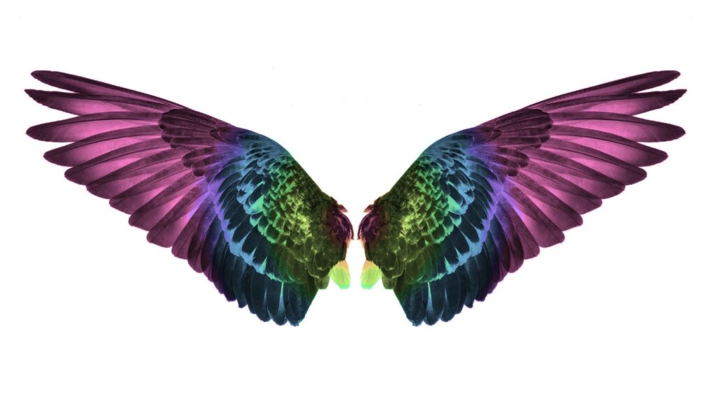 ethereal colorful wings background