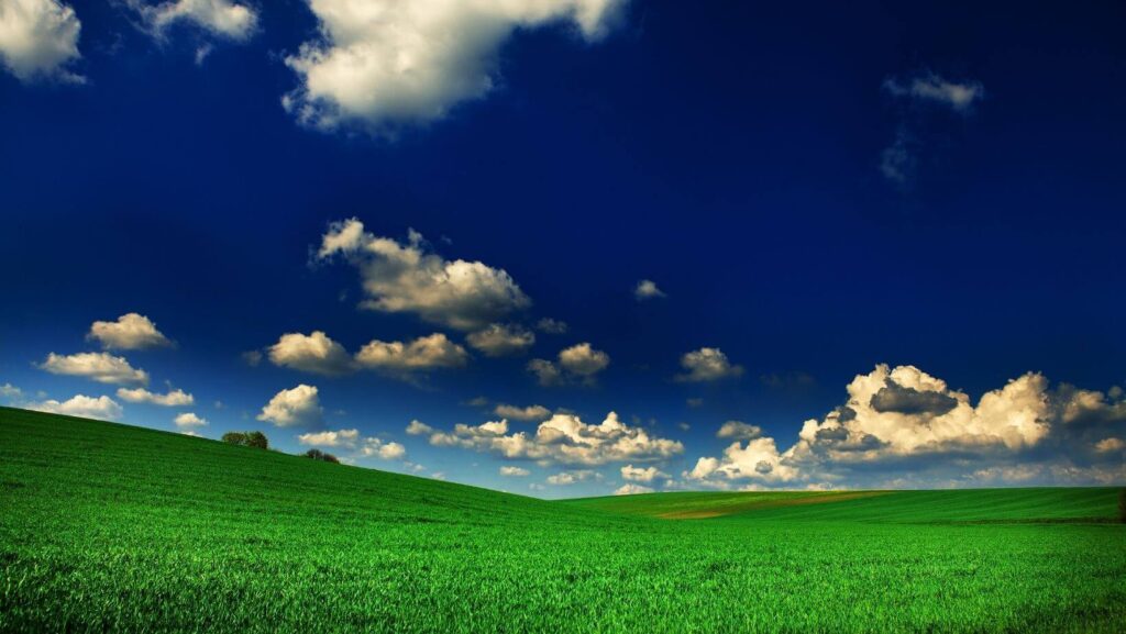 nature landscape background
