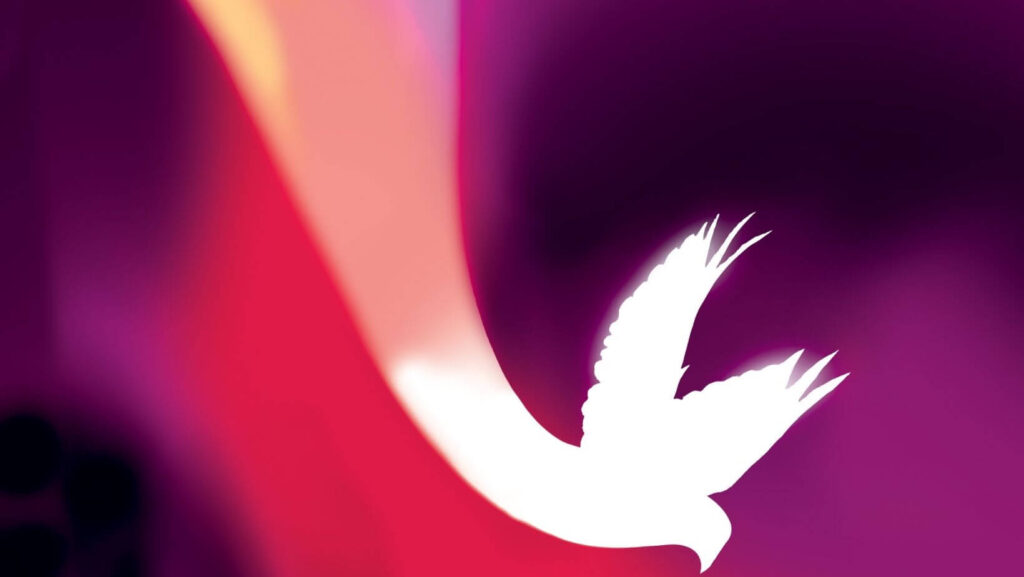 dove peace background