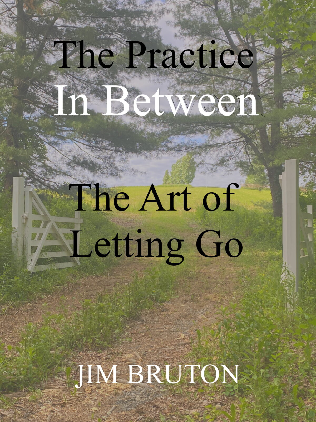 The Practice In Between: The Art of Letting Go Book Club Guest Author Session