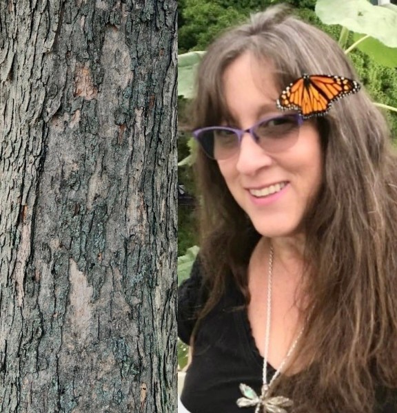 Multi-Experiencer: Catherine Chapey